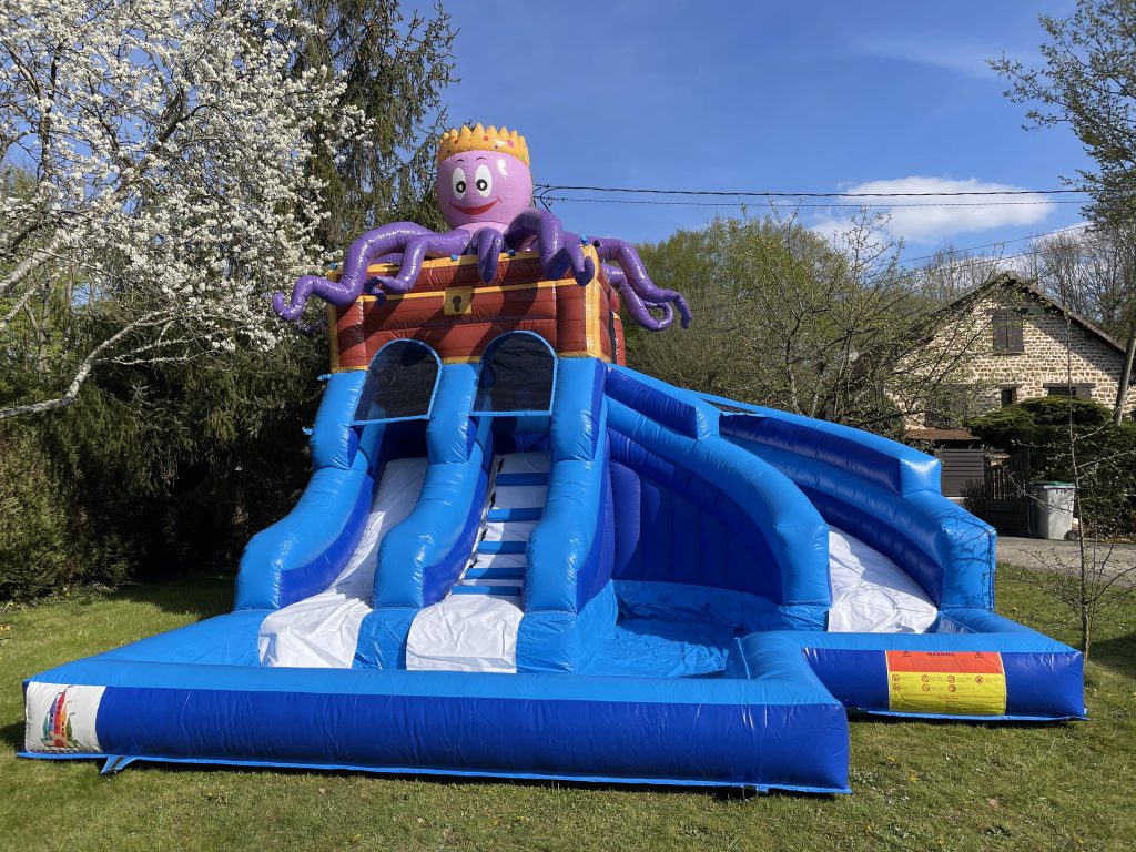 Octopus Water Slide1