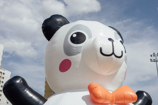 SAM_8299_yoshipowershot.com