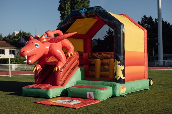 SAM_8137_yoshipowershot.com